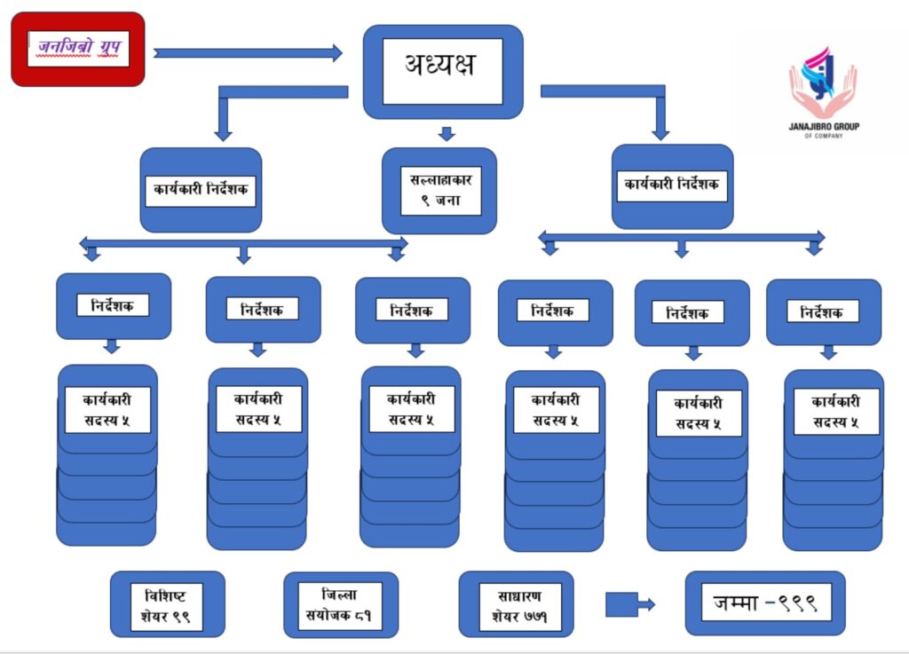 flowchart of janajibro group company